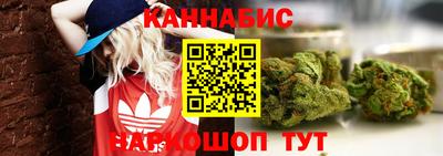 PSILOCYBIN Новодвинск