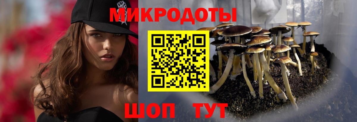 Таганрог  Галлюциногенные грибы Cubensis  Вход с VPN  Галлюциногенные грибы Psilocybe 